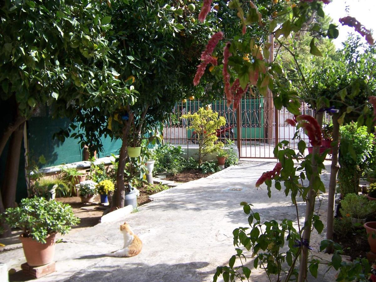 Maria'S Haus In Artemida公寓 外观 照片