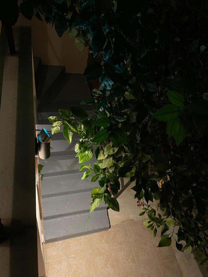 Maria'S Haus In Artemida公寓 外观 照片