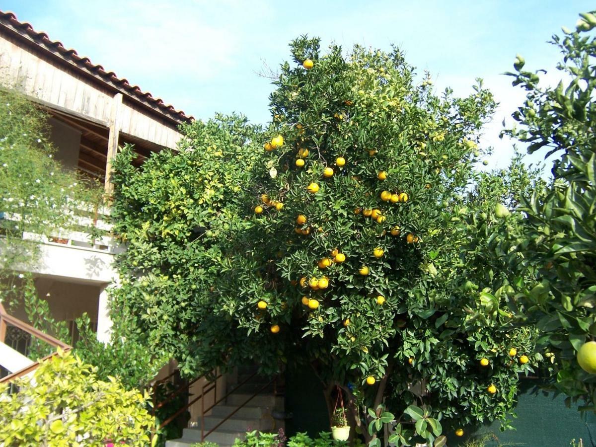 Maria'S Haus In Artemida公寓 外观 照片